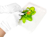 Dissect-It Frog Lab