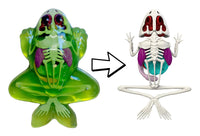 Dissect-It Frog Lab