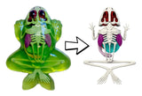 Dissect-It Frog Lab