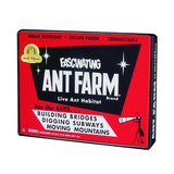 Ant Farm