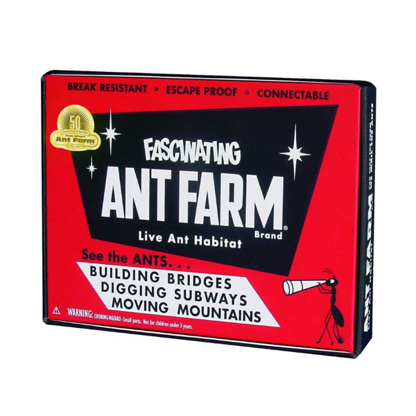 Ant Farm