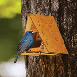 Backyard Bird Bungalow