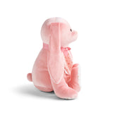 You Are So Loved Bunny with Message Inside