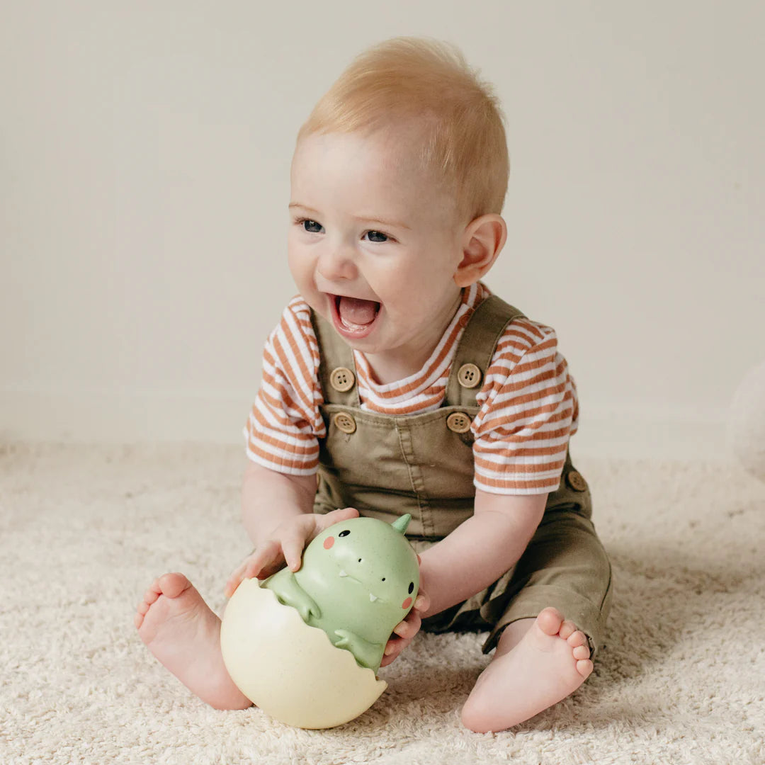Roly Poly Dino – learning tree toys, books and games