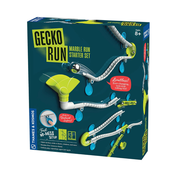 Gecko Run STEM