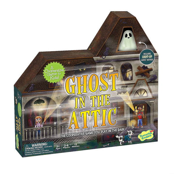 Ghost In The Attic Game
