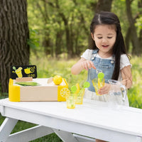 Lemonade Play Set from Fat Brain Toys