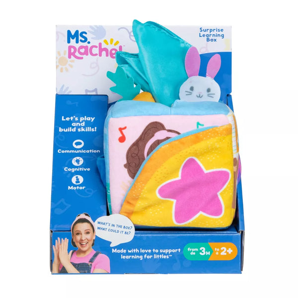 Ms. Rachel Surprise Learning Box