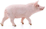 Schleich Pig
