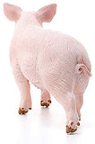 Schleich Pig