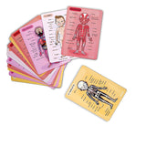 Human Body Anatomy Magnet Set (in 12 different languages) by Janod
