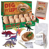 Dig It Up! Dinosaur Eggs (Set of 12)