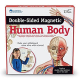 Double-Sided Magnetic Human Body